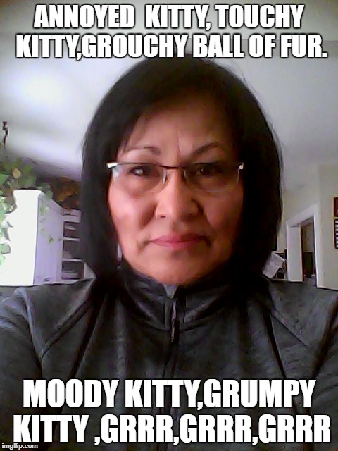 bedtime | ANNOYED  KITTY, TOUCHY KITTY,GROUCHY BALL OF FUR. MOODY KITTY,GRUMPY KITTY
,GRRR,GRRR,GRRR | image tagged in memes | made w/ Imgflip meme maker
