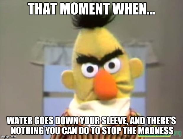 Sesame Street - Angry Bert | THAT MOMENT WHEN... WATER GOES DOWN YOUR SLEEVE, AND THERE'S NOTHING YOU CAN DO TO STOP THE MADNESS | image tagged in sesame street - angry bert | made w/ Imgflip meme maker