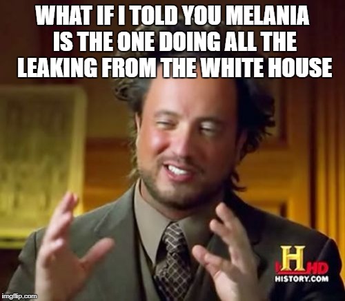 Ancient Aliens Meme | WHAT IF I TOLD YOU MELANIA IS THE ONE DOING ALL THE LEAKING FROM THE WHITE HOUSE | image tagged in memes,ancient aliens | made w/ Imgflip meme maker