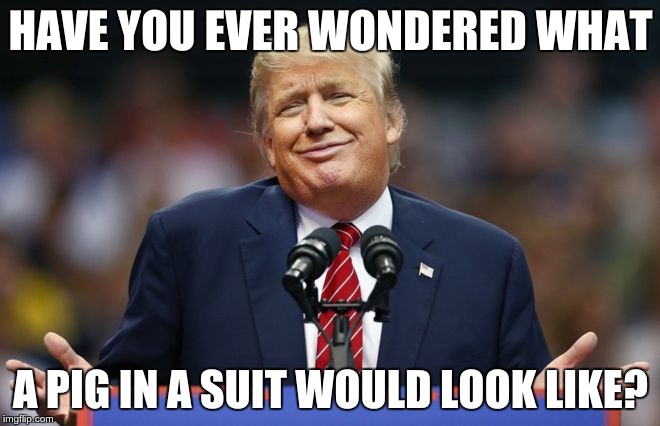 constipated trump imgflip