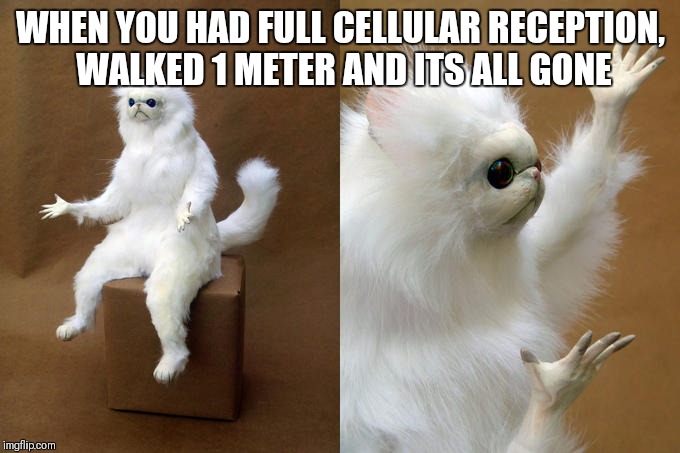 Persian Cat Room Guardian Meme | WHEN YOU HAD FULL CELLULAR RECEPTION, WALKED 1 METER AND ITS ALL GONE | image tagged in memes,persian cat room guardian | made w/ Imgflip meme maker