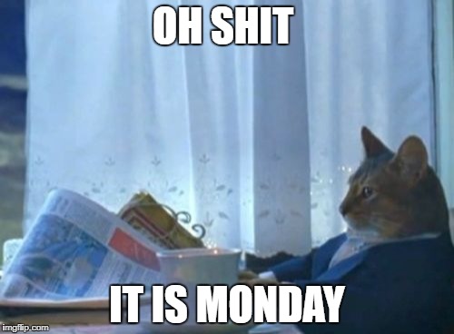I Should Buy A Boat Cat Meme | OH SHIT; IT IS MONDAY | image tagged in memes,i should buy a boat cat | made w/ Imgflip meme maker