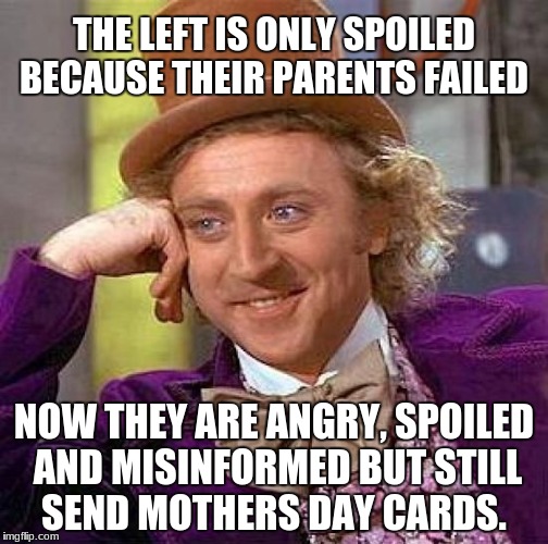 Singleton parents | THE LEFT IS ONLY SPOILED BECAUSE THEIR PARENTS FAILED; NOW THEY ARE ANGRY, SPOILED AND MISINFORMED BUT STILL SEND MOTHERS DAY CARDS. | image tagged in singleton parents | made w/ Imgflip meme maker