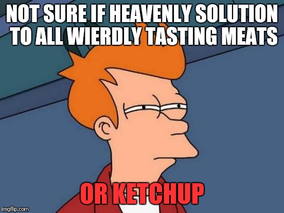 Ketchup = God Sauce | NOT SURE IF HEAVENLY SOLUTION TO ALL WIERDLY TASTING MEATS; OR KETCHUP | image tagged in memes,futurama fry,ketchup | made w/ Imgflip meme maker