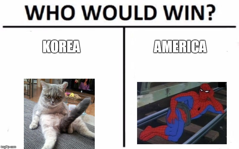 Who Would Win? Meme | KOREA; AMERICA | image tagged in memes,who would win | made w/ Imgflip meme maker
