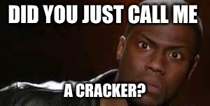 That face | DID YOU JUST CALL ME; A CRACKER? | image tagged in that face | made w/ Imgflip meme maker