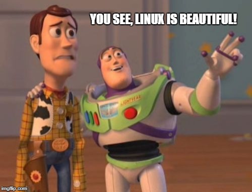 X, X Everywhere | YOU SEE, LINUX IS BEAUTIFUL! | image tagged in memes,x x everywhere | made w/ Imgflip meme maker