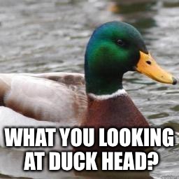 What you looking at? | WHAT YOU LOOKING AT DUCK HEAD? | image tagged in good advice mallard,memes,duck,looking,dickhead | made w/ Imgflip meme maker