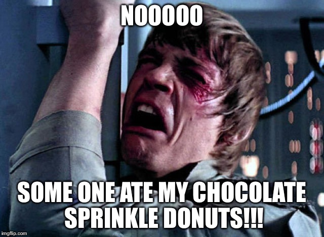 Nooo | NOOOOO; SOME ONE ATE MY CHOCOLATE SPRINKLE DONUTS!!! | image tagged in nooo | made w/ Imgflip meme maker