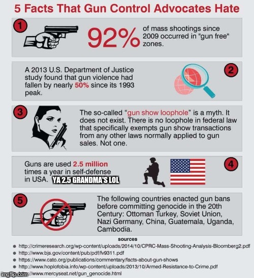  Gun Control Fact | YA 2.5 GRANDMA'S LOL | image tagged in gun control fact | made w/ Imgflip meme maker