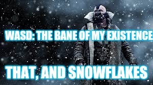 WASD: THE BANE OF MY EXISTENCE THAT, AND SNOWFLAKES | made w/ Imgflip meme maker