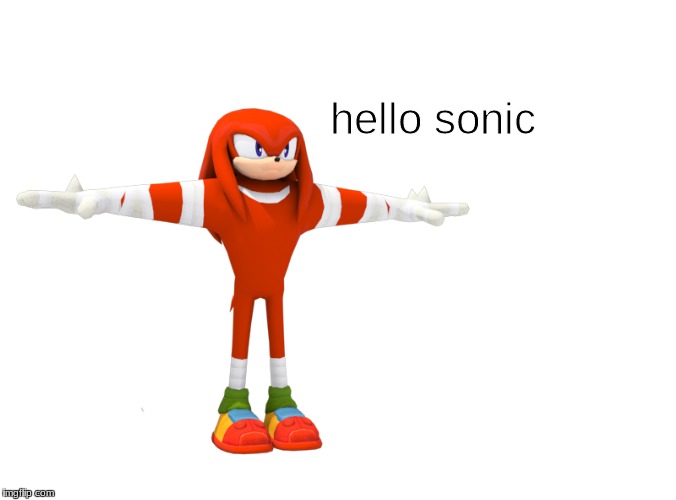h e l l o  s o n i c | hello sonic | image tagged in knuckles,knuckles the echidna,knuck knuck,t pose,t pose tuesday,sonic boom | made w/ Imgflip meme maker