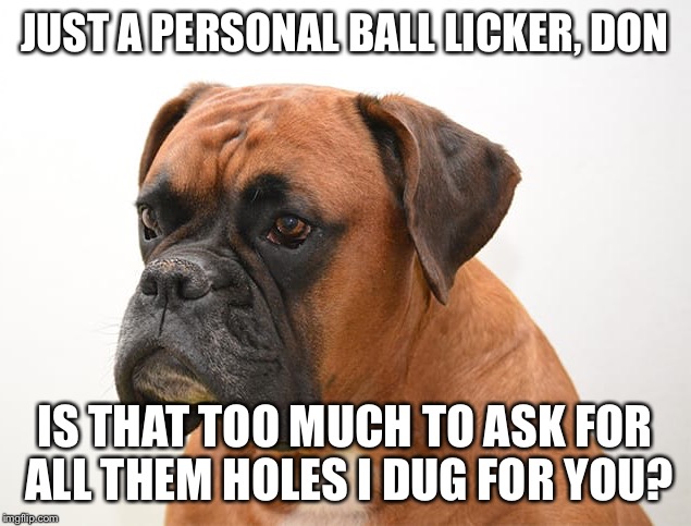 JUST A PERSONAL BALL LICKER, DON IS THAT TOO MUCH TO ASK FOR ALL THEM HOLES I DUG FOR YOU? | made w/ Imgflip meme maker