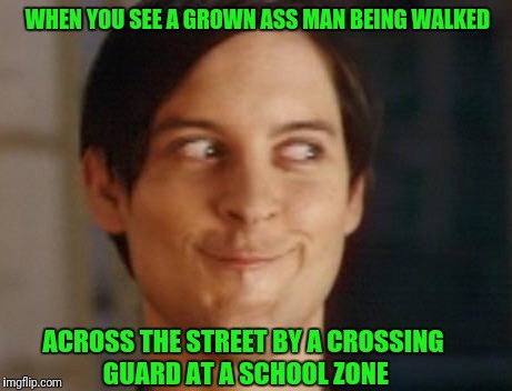 Spiderman Peter Parker Meme | WHEN YOU SEE A GROWN ASS MAN BEING WALKED; ACROSS THE STREET BY A CROSSING GUARD AT A SCHOOL ZONE | image tagged in memes,spiderman peter parker | made w/ Imgflip meme maker