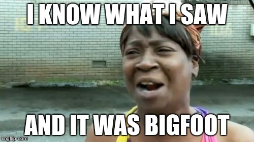 Ain't Nobody Got Time For That | I KNOW WHAT I SAW; AND IT WAS BIGFOOT | image tagged in memes,aint nobody got time for that | made w/ Imgflip meme maker