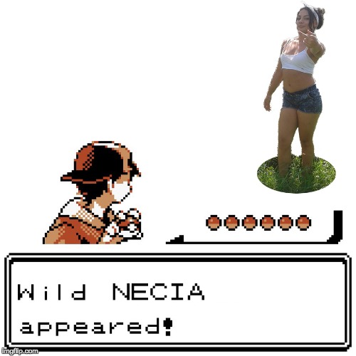 When a wild NECIA appears! | image tagged in memes,funny,necia,pokemon,wild,pokemon appears | made w/ Imgflip meme maker
