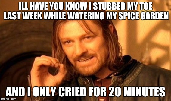 One Does Not Simply Meme | ILL HAVE YOU KNOW I STUBBED MY TOE LAST WEEK WHILE WATERING MY SPICE GARDEN AND I ONLY CRIED FOR 20 MINUTES | image tagged in memes,one does not simply | made w/ Imgflip meme maker