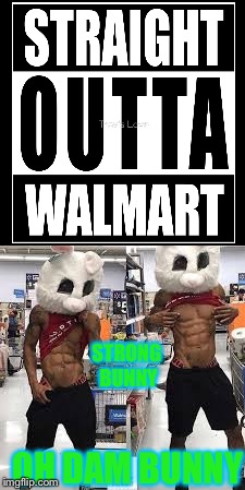 Strong bunny | STRONG BUNNY; OH DAM BUNNY | image tagged in straight outta wal-mart,memes,bunny,bugs bunny,walmart | made w/ Imgflip meme maker