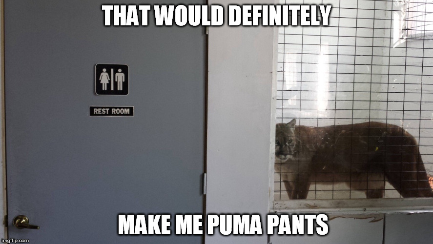 Rest (In Peace) room | THAT WOULD DEFINITELY; MAKE ME PUMA PANTS | image tagged in restroom,puns,funny,memes | made w/ Imgflip meme maker