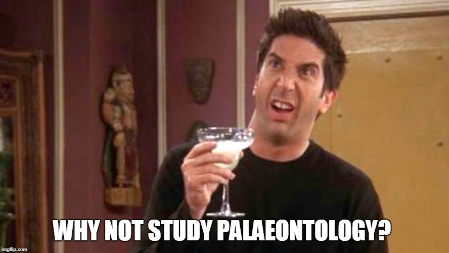 WHY NOT STUDY PALAEONTOLOGY? | image tagged in friends,memes,stupid question,ross,ross geller | made w/ Imgflip meme maker