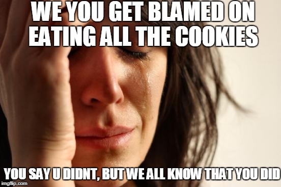 First World Problems Meme | WE YOU GET BLAMED ON EATING ALL THE COOKIES; YOU SAY U DIDNT, BUT WE ALL KNOW THAT YOU DID | image tagged in memes,first world problems | made w/ Imgflip meme maker