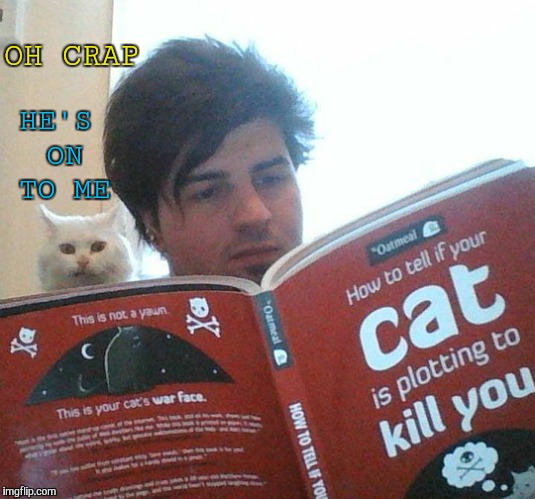 Kill You Cat Meme Generator - Piñata Farms - The best meme generator and  meme maker for video & image memes