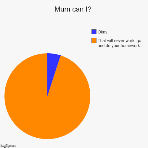Mum can I? | That will never work, go and do your homework, Okay | image tagged in funny,pie charts | made w/ Imgflip chart maker