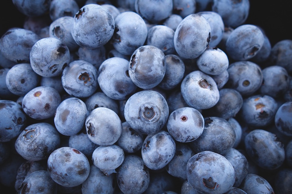 Blueberries Blank Template Imgflip