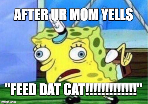 Mocking Spongebob | AFTER UR MOM YELLS; "FEED DAT CAT!!!!!!!!!!!!!" | image tagged in memes,mocking spongebob | made w/ Imgflip meme maker