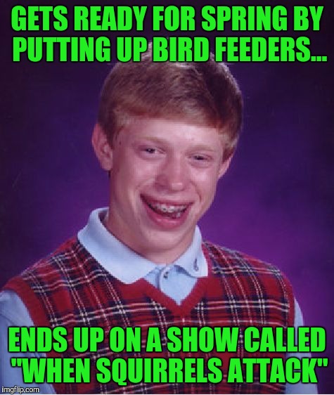 Bad Luck Brian | GETS READY FOR SPRING BY PUTTING UP BIRD FEEDERS... ENDS UP ON A SHOW CALLED "WHEN SQUIRRELS ATTACK" | image tagged in memes,bad luck brian | made w/ Imgflip meme maker