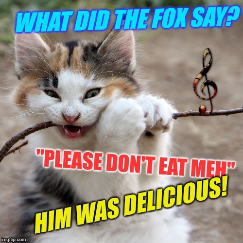 Music Week, March 5-11, A Phantasmemegoric & thecoffeemaster Event!  |  . | image tagged in music week,a phantasmemegoric  thecoffeemaster event,what does the fox say,funny cats,cute cat,hungry cat | made w/ Imgflip meme maker