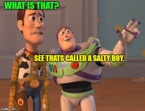 X, X Everywhere Meme | WHAT IS THAT? SEE THATS CALLED A SALTY BOY. | image tagged in memes,x x everywhere | made w/ Imgflip meme maker