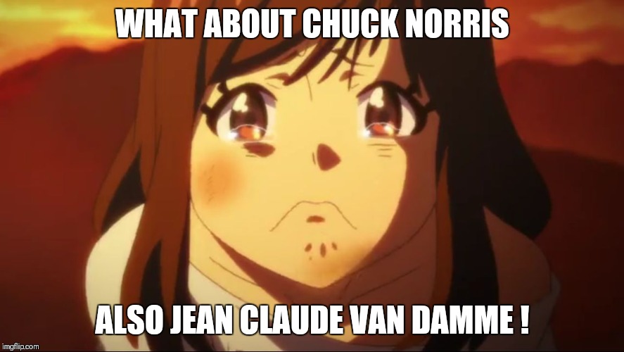 WHAT ABOUT CHUCK NORRIS ALSO JEAN CLAUDE VAN DAMME ! | made w/ Imgflip meme maker