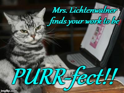 Cat computer | Mrs. Lichtenwalner finds your work to be; PURR-fect!! | image tagged in cat computer | made w/ Imgflip meme maker