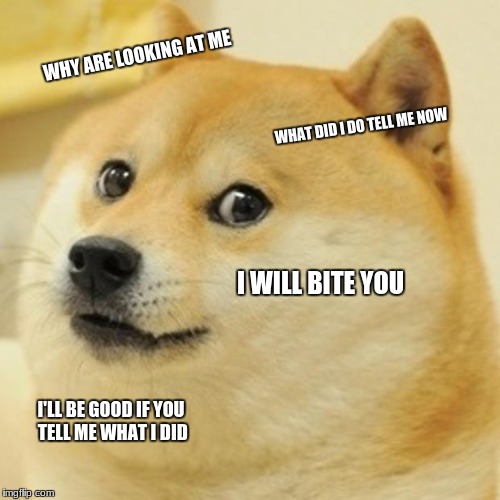 Doge Meme | WHY ARE LOOKING AT ME; WHAT DID I DO TELL ME NOW; I WILL BITE YOU; I'LL BE GOOD IF YOU TELL ME WHAT I DID | image tagged in memes,doge | made w/ Imgflip meme maker