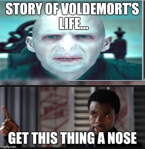 STORY OF VOLDEMORT'S LIFE... GET THIS THING A NOSE | image tagged in harry potter,black panther | made w/ Imgflip meme maker