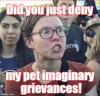 Did you just deny my pet imaginary grievances! | made w/ Imgflip meme maker