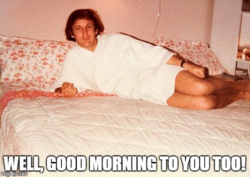 Good Morning, Mr. President | WELL, GOOD MORNING TO YOU TOO! | image tagged in donald trump,trump in bed,trump in a robe,good morning | made w/ Imgflip meme maker