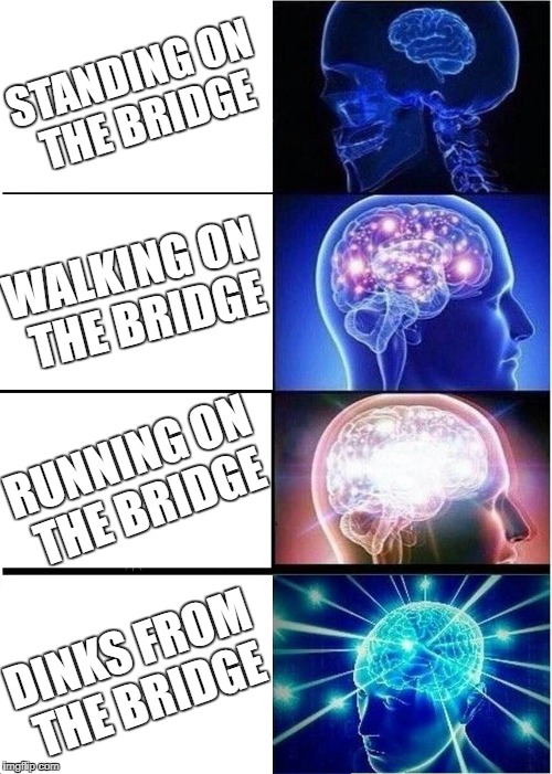 Expanding Bridge | STANDING ON THE BRIDGE; WALKING ON THE BRIDGE; RUNNING ON THE BRIDGE; DINKS FROM THE BRIDGE | image tagged in memes,expanding brain,bridge | made w/ Imgflip meme maker