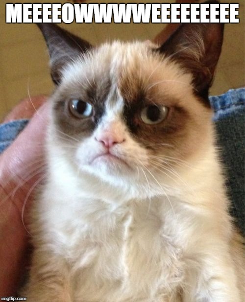 Grumpy Cat Meme | MEEEEOWWWWEEEEEEEEE | image tagged in memes,grumpy cat | made w/ Imgflip meme maker