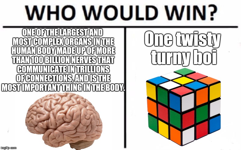 Who Would Win? | ONE OF THE LARGEST AND MOST COMPLEX ORGANS IN THE HUMAN BODY MADE UP OF MORE THAN 100 BILLION NERVES THAT COMMUNICATE IN TRILLIONS OF CONNECTIONS, AND IS THE MOST IMPORTANT THING IN THE BODY. One twisty turny boi | image tagged in memes,who would win | made w/ Imgflip meme maker