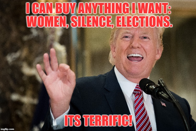 I CAN BUY ANYTHING I WANT: WOMEN, SILENCE, ELECTIONS. ITS TERRIFIC! | image tagged in donald trump | made w/ Imgflip meme maker