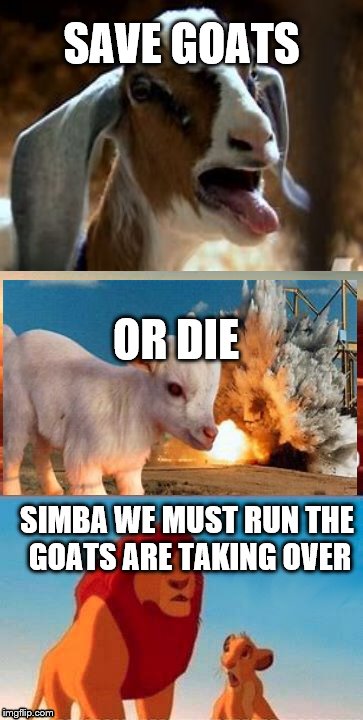 Simba Shadowy Place | SAVE GOATS; OR DIE; SIMBA WE MUST RUN THE GOATS ARE TAKING OVER | image tagged in memes,goats | made w/ Imgflip meme maker