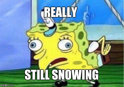 Mocking Spongebob | REALLY; STILL SNOWING | image tagged in memes,mocking spongebob | made w/ Imgflip meme maker