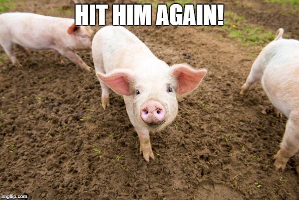 Bacon early stages | HIT HIM AGAIN! | image tagged in bacon early stages | made w/ Imgflip meme maker