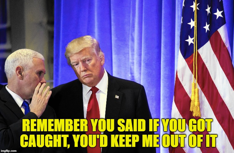 REMEMBER YOU SAID IF YOU GOT CAUGHT, YOU'D KEEP ME OUT OF IT | image tagged in donald trump | made w/ Imgflip meme maker