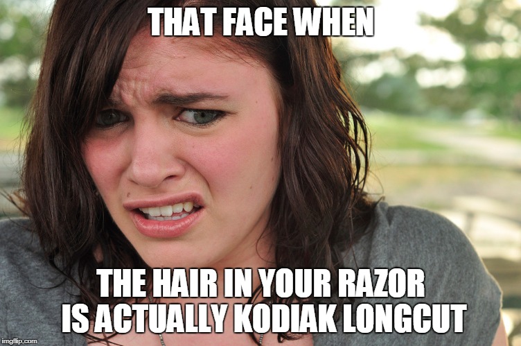 THAT FACE WHEN; THE HAIR IN YOUR RAZOR IS ACTUALLY KODIAK LONGCUT | made w/ Imgflip meme maker