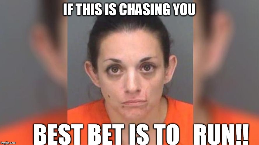 IF THIS IS CHASING YOU BEST BET IS TO   RUN!! | made w/ Imgflip meme maker