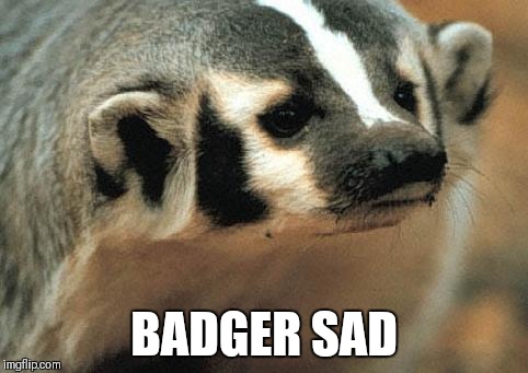 Sad badger | BADGER SAD | image tagged in sad badger,badger | made w/ Imgflip meme maker