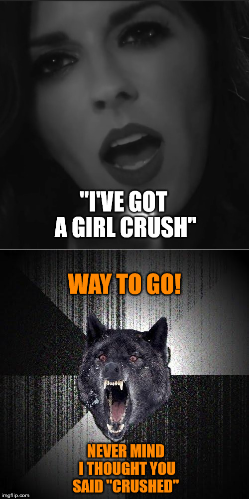 A Little Big Town Insanity
Music Week! March 6th to March 10th, a Phantasmemegoric & thecoffeemaster Event | "I'VE GOT A GIRL CRUSH"; WAY TO GO! NEVER MIND I THOUGHT YOU SAID "CRUSHED" | image tagged in music week,insanity wolf,little big town,girl crush | made w/ Imgflip meme maker